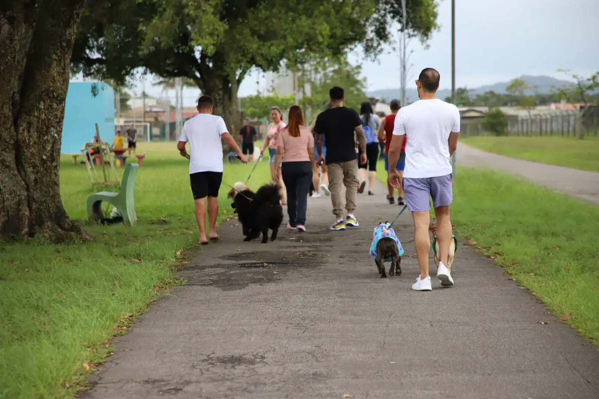 cachorros aeroparque , pets