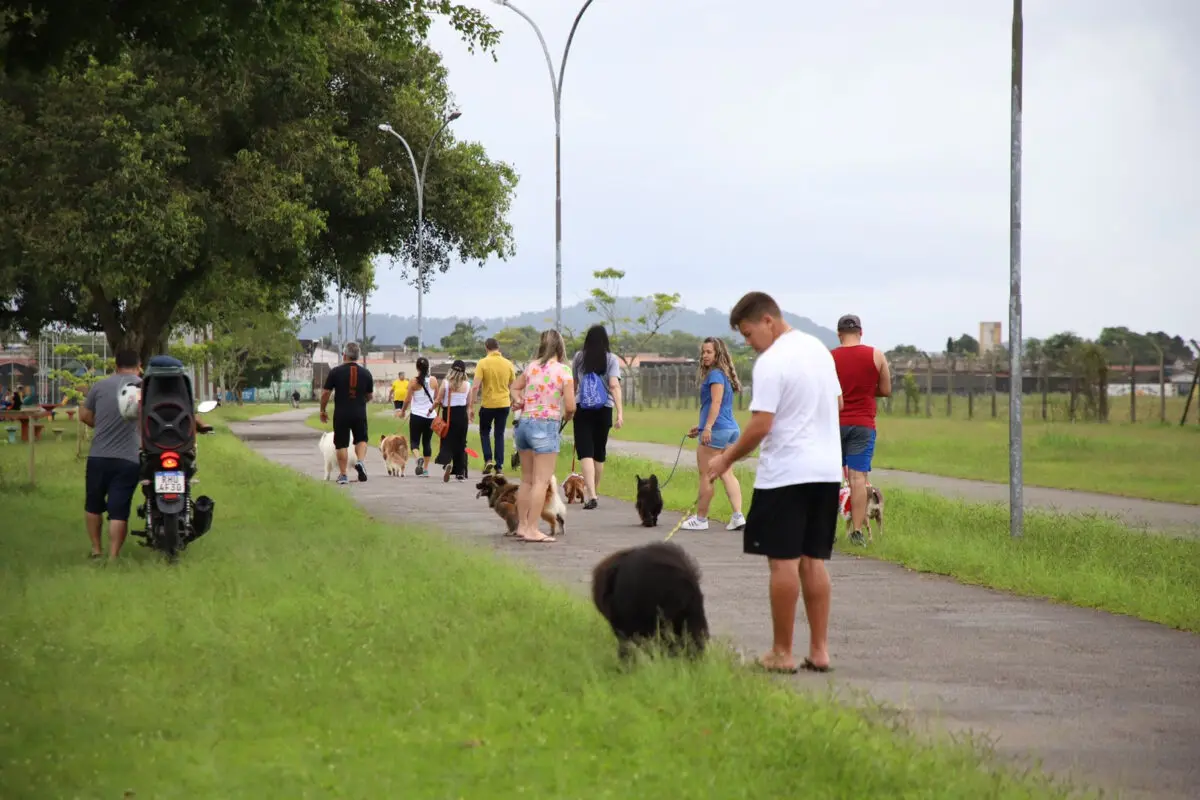 cachorros aeroparque , pets