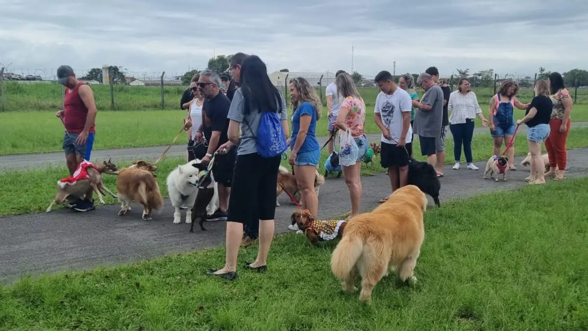 cachorros aeroparque , pets