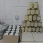 acao-da-policia-ambiental-acaba-em-apreensao-de-caranguejo-e-vidros-de-palmito