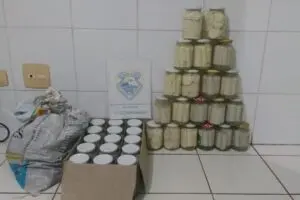 acao-da-policia-ambiental-acaba-em-apreensao-de-caranguejo-e-vidros-de-palmito