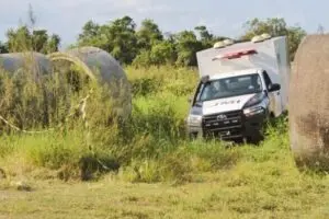 Corpo esquartejado e queimado é encontrado dentro geladeira em Guaratuba