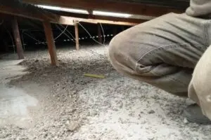 vereador-denuncia-infestacao-de-fezes-de-pombos-em-escola-de-paranagua