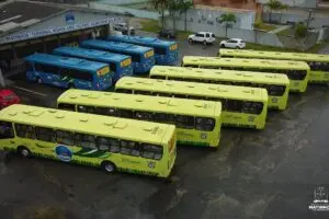 tarifa zero matinhos