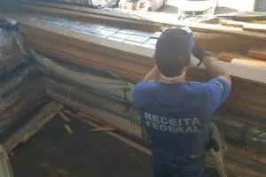 Agentes da Receita Federal encontraram a droga em carga de tábuas de madeira