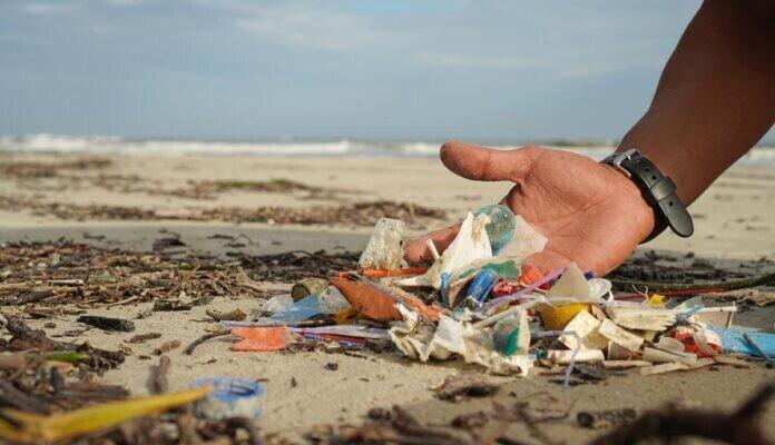 Limpeza da praia, Lixo, Ong Brasil