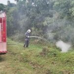 Bombeiros foram acionados para apagar o fogo