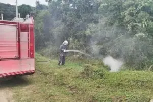 Bombeiros foram acionados para apagar o fogo