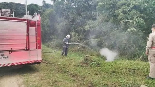 Bombeiros foram acionados para apagar o fogo