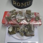 Porções de maconha foram encontradas após busca em residência