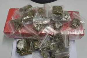 Porções de maconha foram encontradas após busca em residência