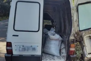 vazadas