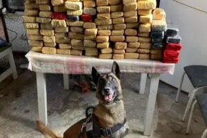 Companhia de Operações com Cães (COC), do Batalhão de Operações Especiais (Bope) participou da operação
