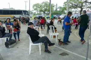 castração matinhos = mutirão