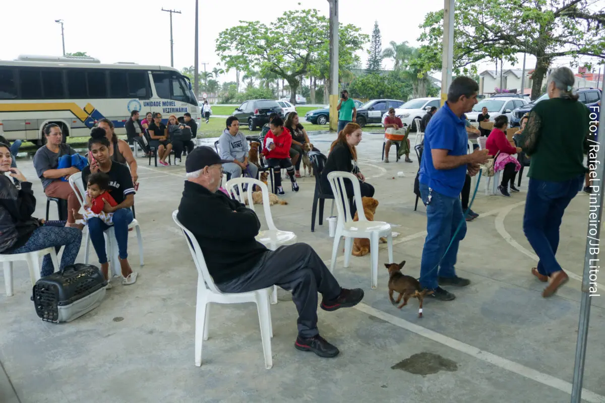 castração matinhos = mutirão