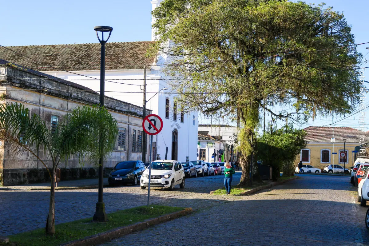 catedral,