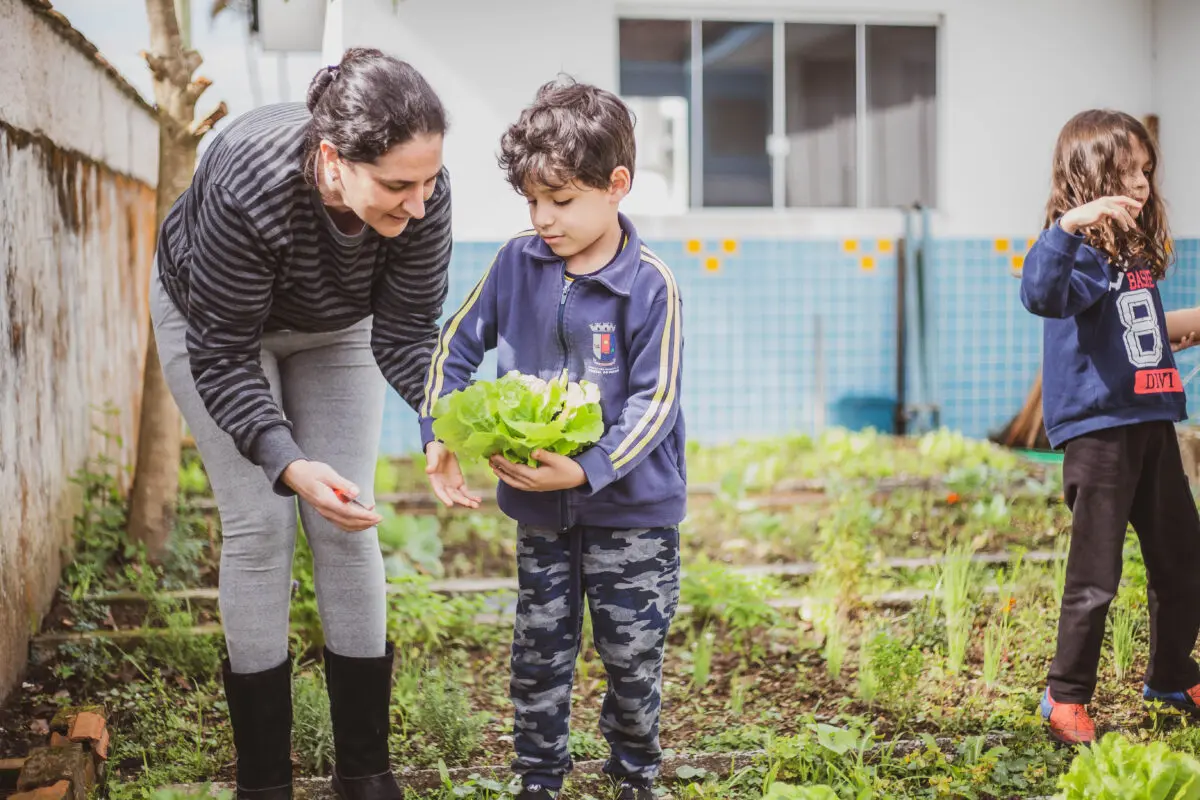 Horta em Pontal , compostagem