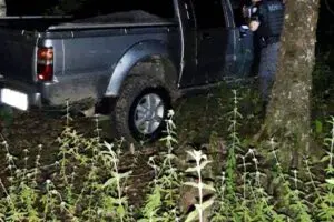 Denúncia levou GCM até onde estava o veículo
