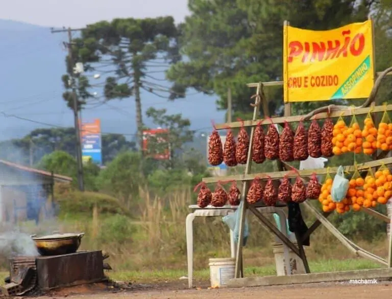 Pinhão, Gastronomia, Cidades