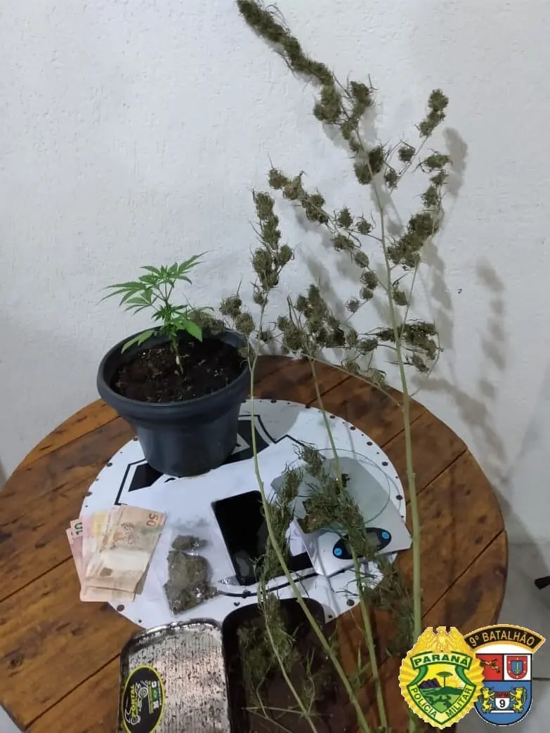 Na abordagem foram apreendios porções e mudas de maconha, além de dinheiro miúdo