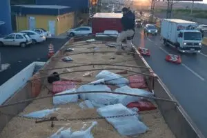 Droga estava escondida em carga de soja