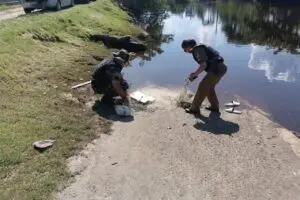 Polícia Ambiental – Força Verde 5