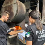 Polícia Civil Incineracao de Drogas em Guaratuba