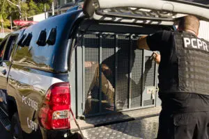 Polícia Civil prisão