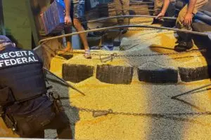 Receita Federal apreensão de maconha