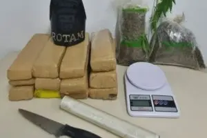 Na ação ainda houve a apreensão de material para embalar o entorpecente e e uma muda da planta, que estava no quintal