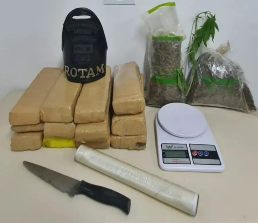 Na ação ainda houve a apreensão de material para embalar o entorpecente e e uma muda da planta, que estava no quintal