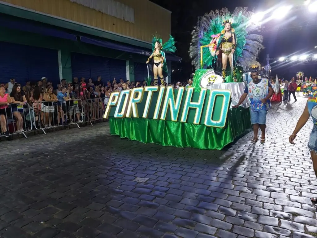 Unidos Portinho desfilou com o tema Meu Mundo encantado