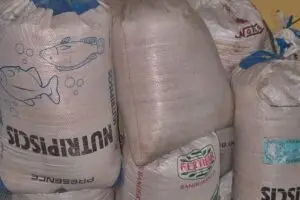 Dez sacas contendo farelo de soja foram encontradas na abordatem