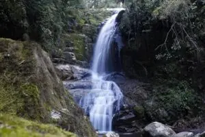 salto do saci antonina