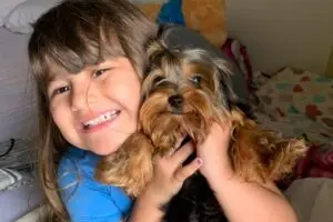 cão 1.500 paranaguá