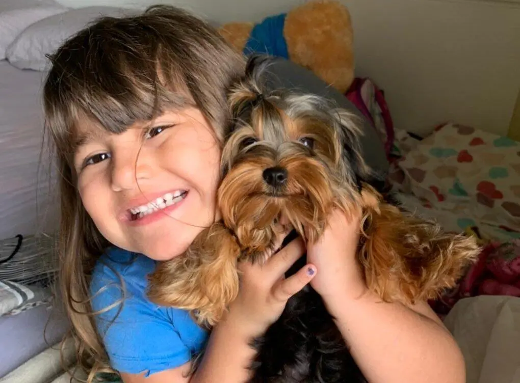 cão 1.500 paranaguá