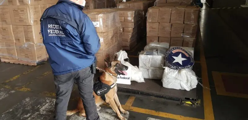 cão farejador receita drogas tcp