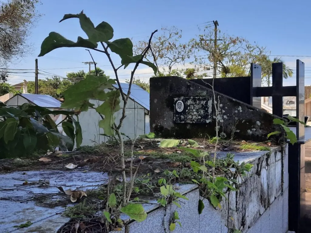 PARANAGUÁ CEMITÉRIOS DA CIDADE 25.10 (7)