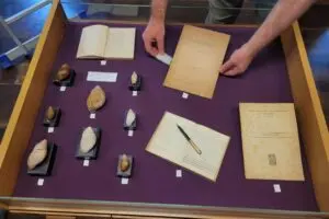 exposição friz lang