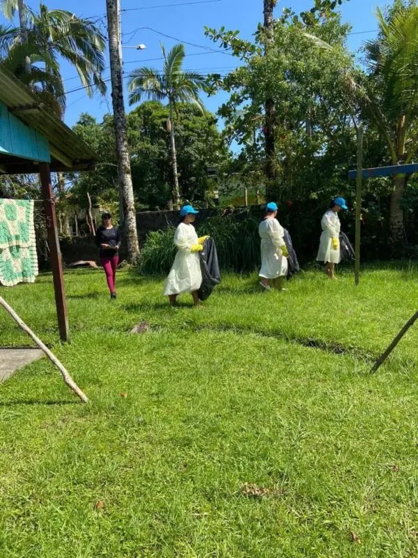 Dengue Superagui
