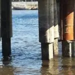 obra-de-r-11-milhao-com-latao-e-barco-de-aluminio-obra-da-passarela-poderia-ser-feita-a-custo-zero