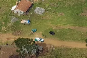 mata-atlantica-operacao-de-combate-ao-desmatamento-soma-r-21-milhoes-em-multas-no-parana