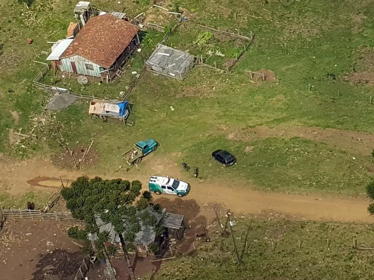 mata-atlantica-operacao-de-combate-ao-desmatamento-soma-r-21-milhoes-em-multas-no-parana