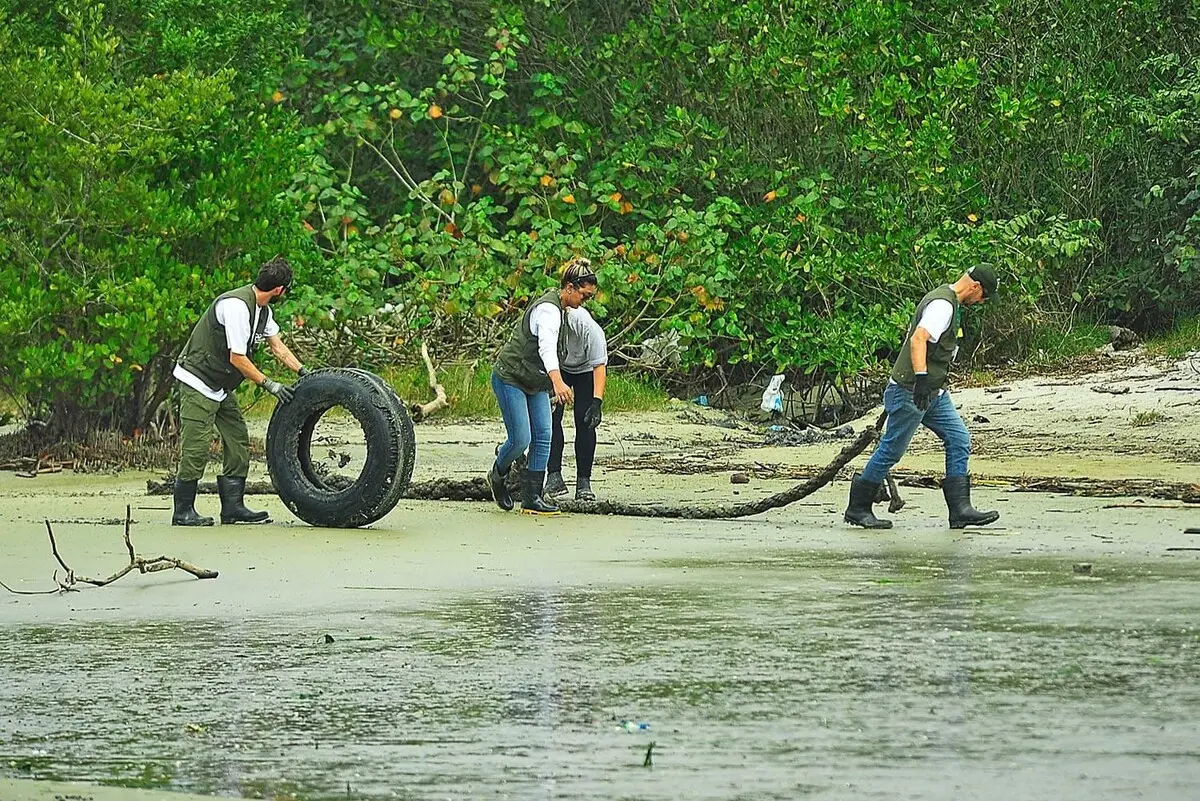 volume-de-lixo-coletado-dos-manguezais-cresce-560-em-paranagua