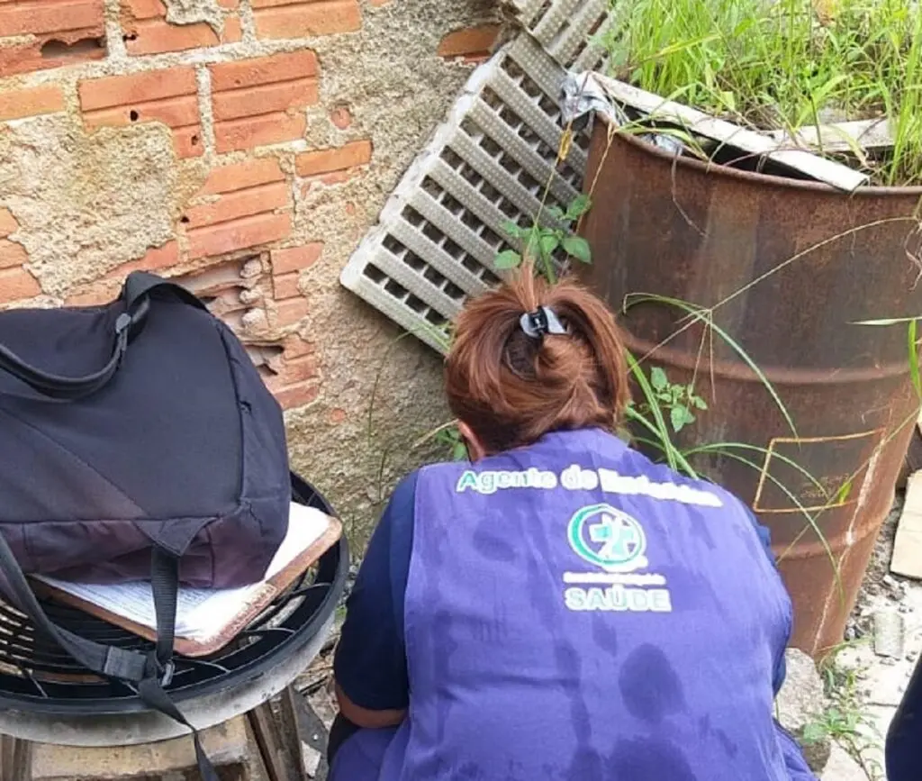 combate dengue