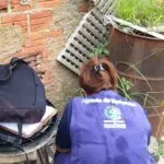 combate dengue