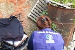 combate dengue