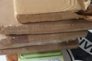 Passageiros de veículo assumiram a responsabilidade pelo entorpecente