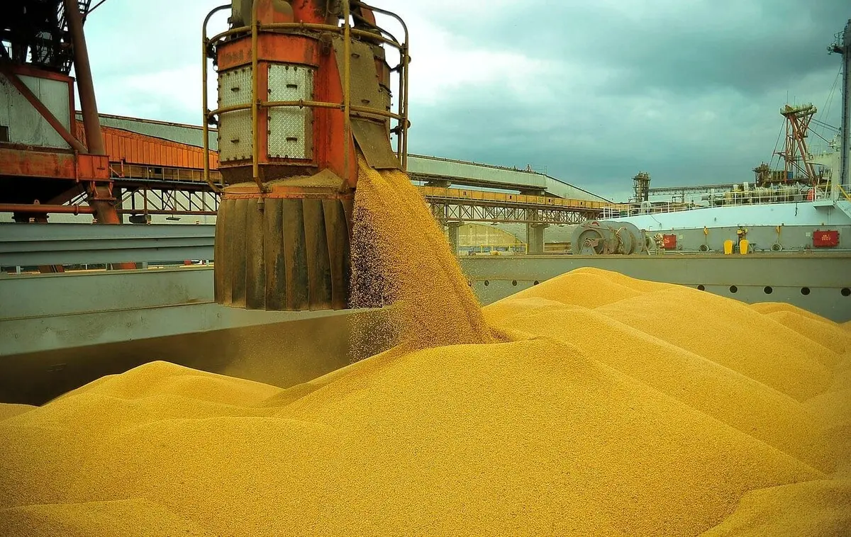 porto-de-paranagua-ja-supera-exportacoes-de-graos-de-2017