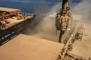 exportação